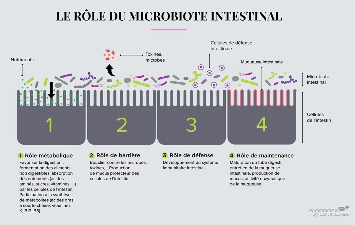 actu-vitalite_et_sagacite_-_visuel_3